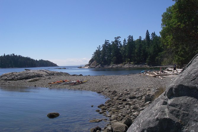 Howe Sound Islands Cruise Wildlife Sightings