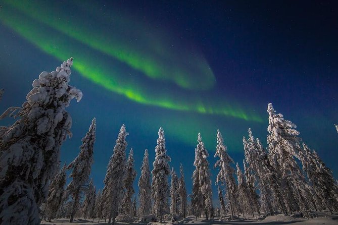 Hunting Northern Lights With Husky - Tour Overview