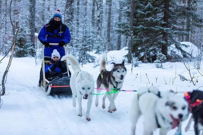 Husky Safari Meeting Point And Schedule