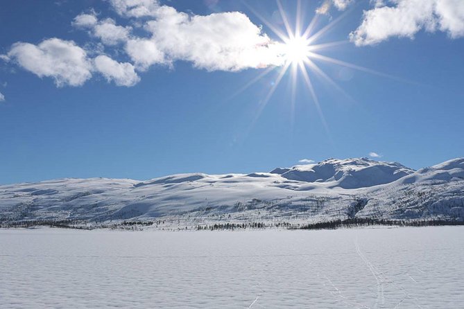 Ice Fishing On The Fjord - Catching Fish Like a Local