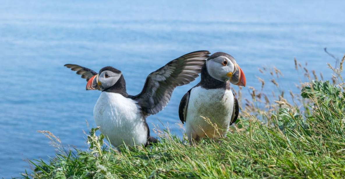 Inverness: Moray Coast, Wildlife and Speyside Whisky Tour - Findhorn Beach Exploration