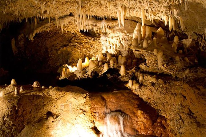 Island Adventure Harrisons Cave & Monkey Feeding Group Tour Or Private Tour Pickup And Policies