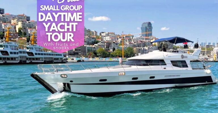 Istanbul: Daytime Bosphorus Yacht Cruise With Fruit & Snacks Captivating City Skyline