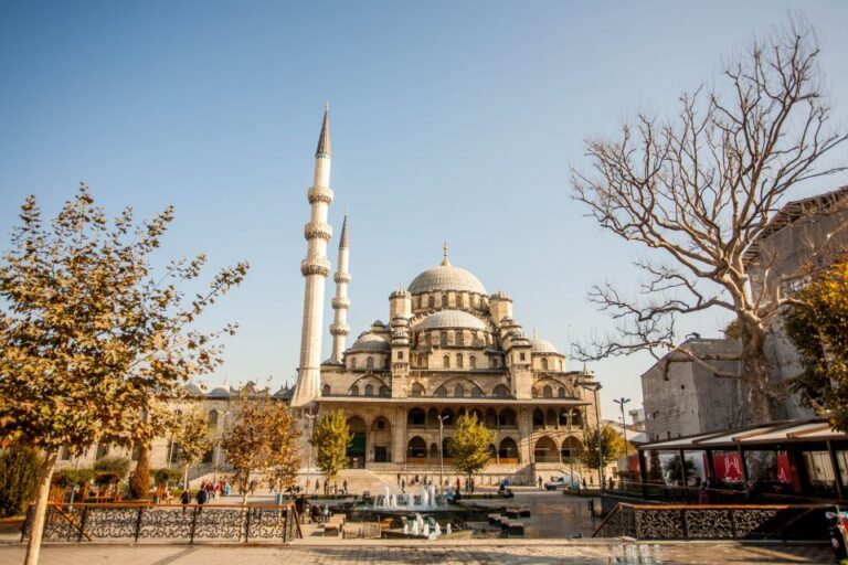 Istanbul: Morning Bosphorus Cruise Activity Overview