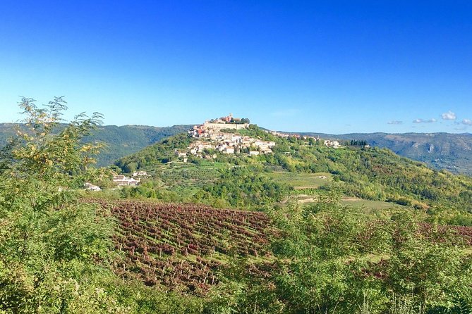 Istrian Hill Top Cities Tour With Truffle And Olive Oil Tasting Tour Overview