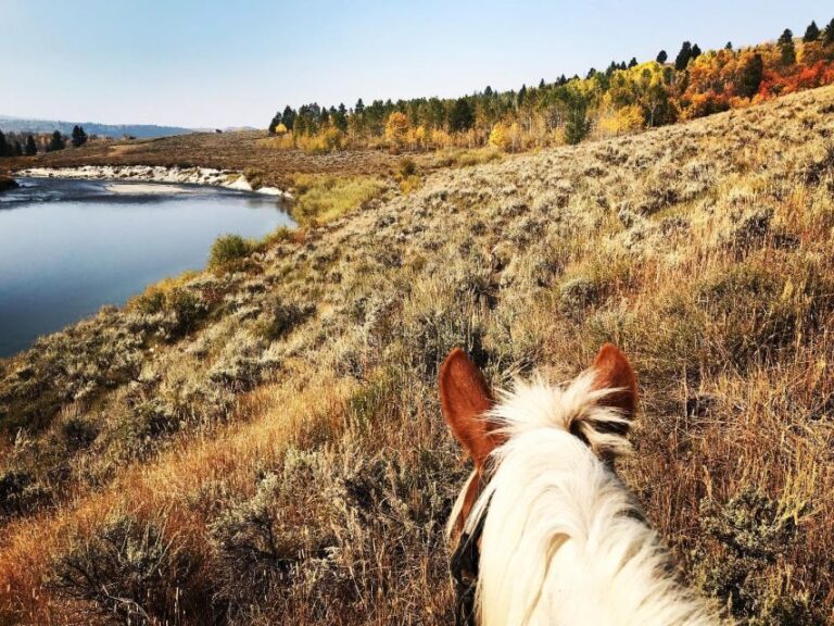 Jackson Hole: Bridger Teton National Forest Horseback Ride Activity And Journey Overview