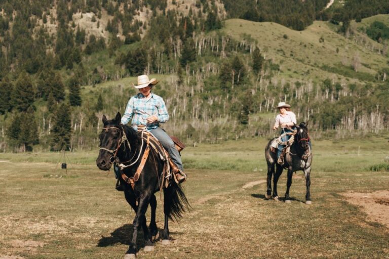 Jackson Hole: Bryan's Flat Guided Scenic Horseback Ride Overview Of The Horseback Ride