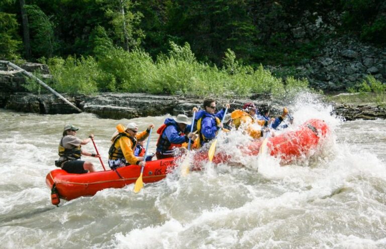 Jackson Hole: Snake River Whitewater Rafting Tour Tour Overview