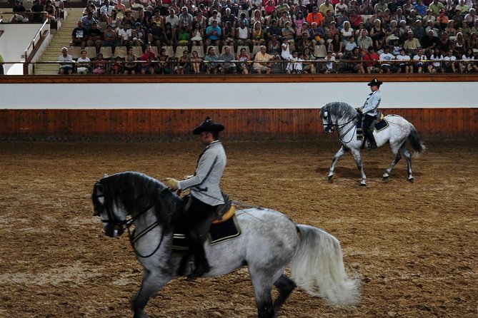 Jerez And Cadiz, With Horse Ballet And Sherry Tasting Full Day From Seville Exploring Jerezs Wine Cellar