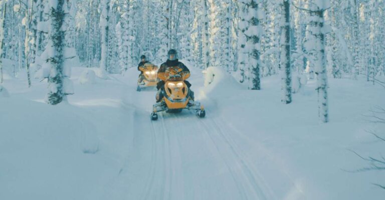 Jyväskylä/laukaa: 2 Hour Snowmobile Safari Tour Details