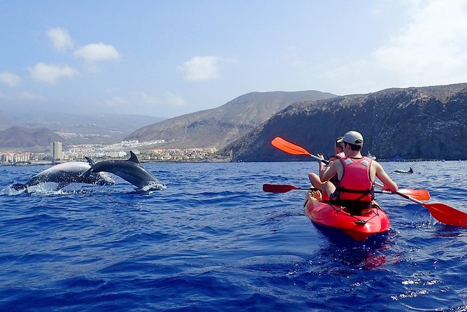 Kayaking With Dolphins and Turtles and Snorkelling in Tenerife - Overview of the Tour