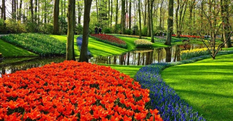 Keukenhof Gardens and Tulip Experience Tour From Amsterdam