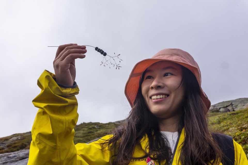 Kjerag: Summer Hike - Overview of the Hike