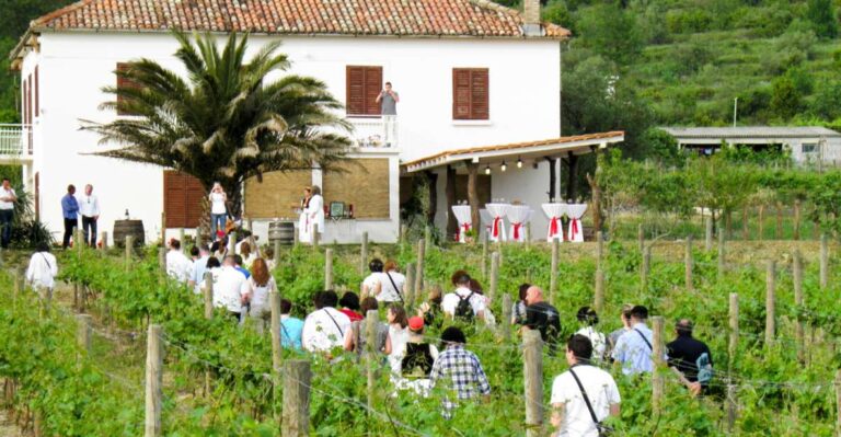 Konavle Valley: Tour With Wine Tasting From Dubrovnik Tour Overview