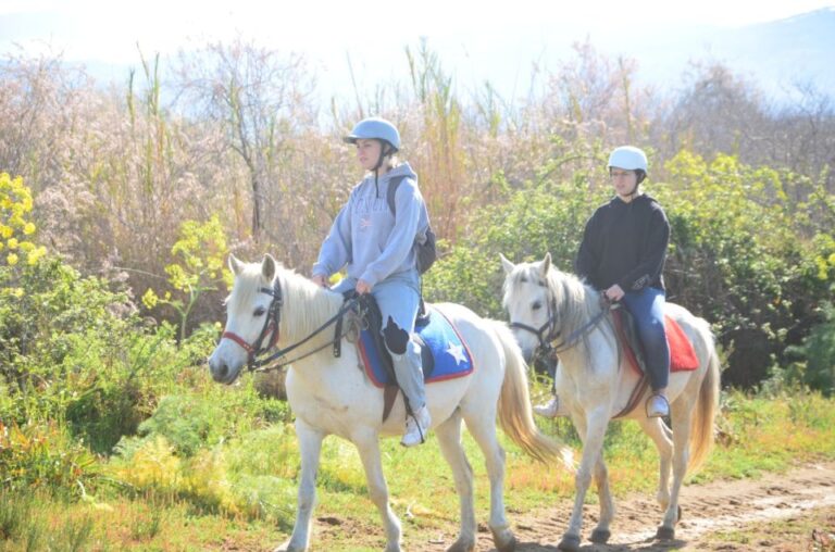 Kusadasi: Beach And Forest Horse Riding Tour Tour Duration And Highlights