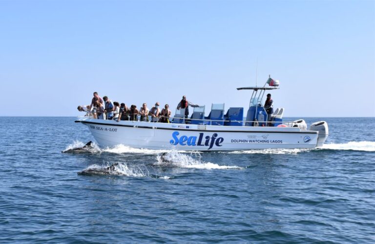 Lagos: Dolphin Watching Boat Tour With Marine Biologists Tour Overview