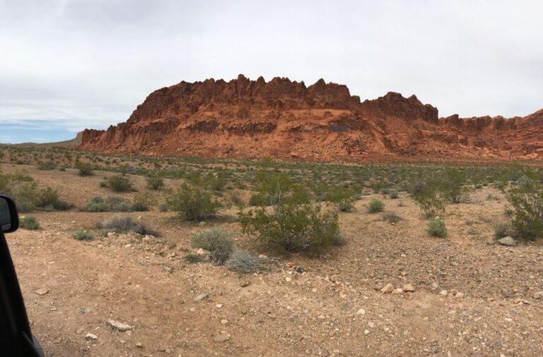 Las Vegas: Valley Of Fire And Zion National Park 1 Day Tour Tour Details