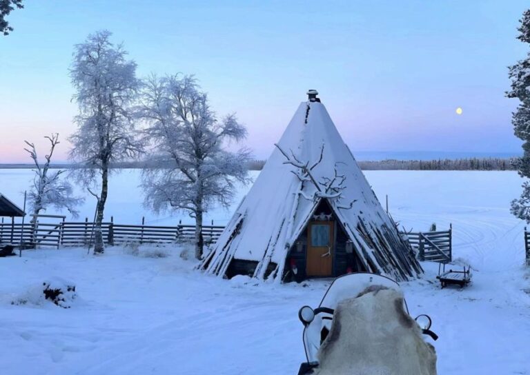 Levi: Lapland Reindeer Safari Overview Of The Reindeer Safari