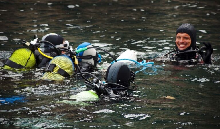 Lisbon: Eco Friendly Beginners Scuba Diving Dive Into Biodiversity