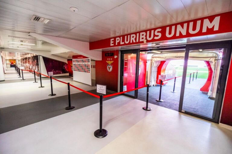 Lisbon: Luz Stadium Tour And Sl Benfica Museum Ticket Tour Overview And Pricing