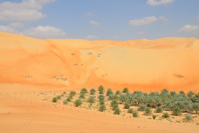 Liwa Full Day Desert Safari From Abu Dhabi Desert Dune Bashing