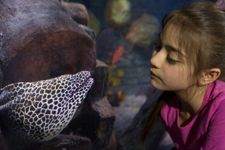 Loch Lomond: Sea Life Entrance Ticket Ticket Information