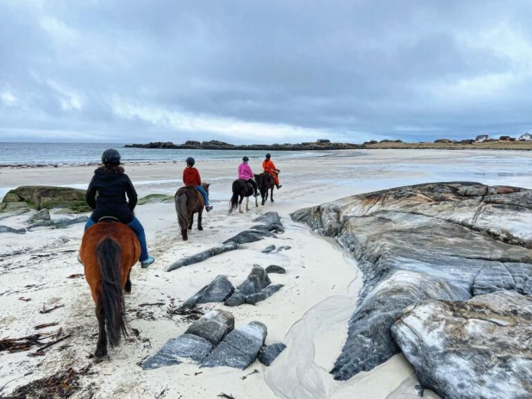 Lofoten: Guided Horse Riding Tour Over Hov And Hovsund Lofotens Picturesque Coastal Scenery