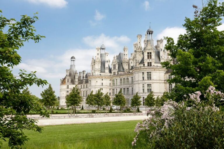 Loire Valley Castles: Vip Private Tour From Paris 3 Castles Tour Overview