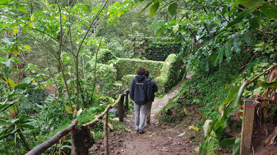 Lomba De São Pedro: Waterfall Hiking Tour With Tea Tasting - Tour Overview and Pricing