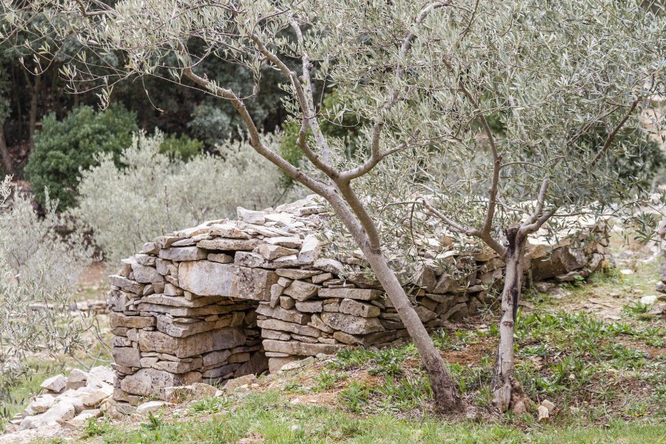 Luberon: Plague Wall Bike Ride - About the Plague Wall Bike Ride