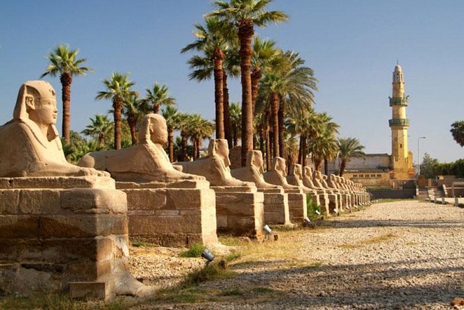 Luxor Private Day Tour From Soma Bay With Private Tour Guide - Inclusions