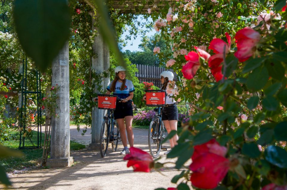 Lyon: the Great Bike Tour From North to South - Cycling Through the City