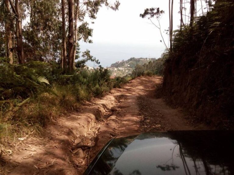 Madeira 2 Full Day & 1 Half Day 4x4 Jeep Special Tour Combo Discover The Best Of Madeira