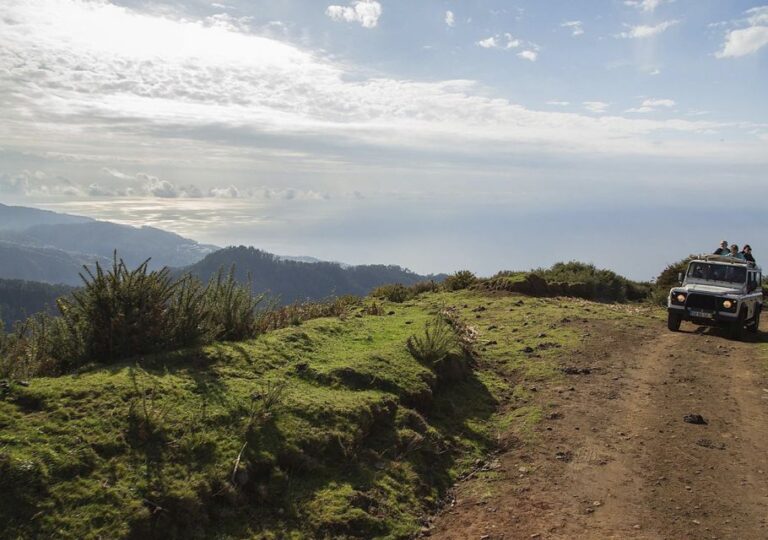 Madeira: Amazing West Porto Moniz Tour Overview