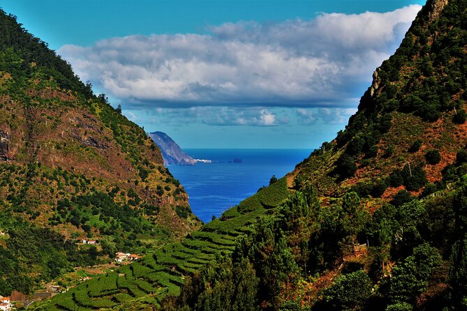 Madeira Island Private Wine Full-Day Tour in All Terrain Vehicle - Overview of the Tour