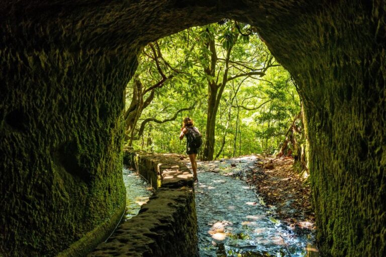 Madeira: Jungle Fever Levada Caldeirao Verde Hike Santana Activity Overview And Pricing