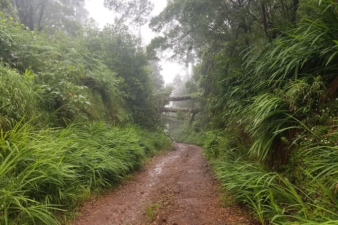 Madeira Off-Road Tours - Overview of the Tour