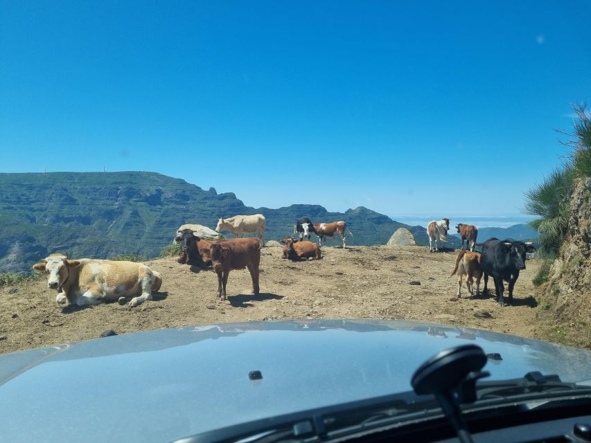 Madeira: Picturesque Peaks and Skywalk Private 4x4 Jeep Tour - Discover Madeiras Picturesque Peaks