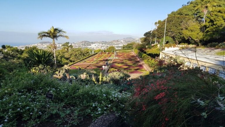 Madeira: Private Half Day Guided Gardens Tour Tour Overview