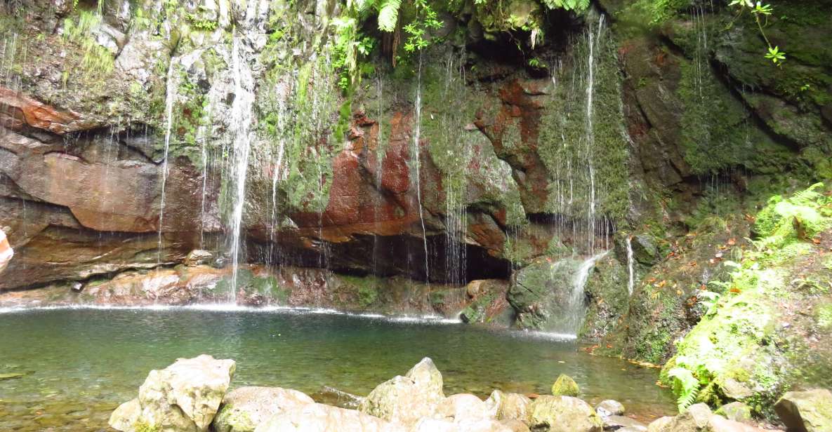 Madeira: Rabaçal, Risco and 25 Fontes Guided Hiking Tour - Itinerary