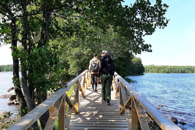 Magical Taiga Forest Hike With Lunch And Transportation Highlights Of The Activities