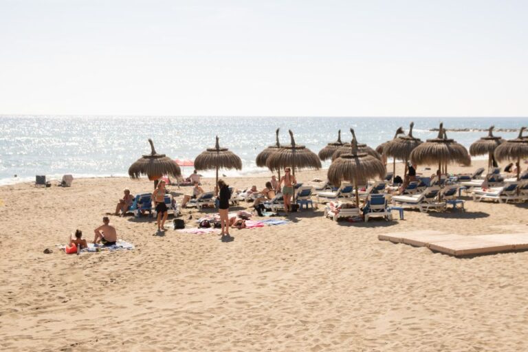 Malaga: Marbella And Puerto Banus Private Customizable Tour Tour Overview