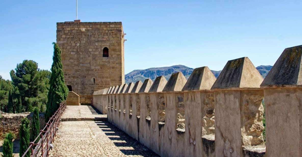 Malaga - Private Historic Walking Tour - Exploring the Alcazaba Fortress