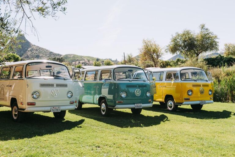 Malibu: Vintage Vw Bus And Vineyard Tour Tour Details