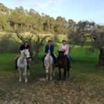 Mallorca: Mallorca`s Sunset & Spanish Riding School Show Overview Of The Experience