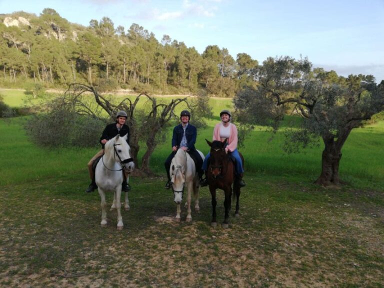 Mallorca: Mallorca`s Sunset & Spanish Riding School Show