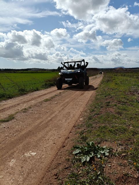 Mallorca: Mountain Buggy Adventure With Secret Coves Tour Explore Mallorcas Scenic Landscapes