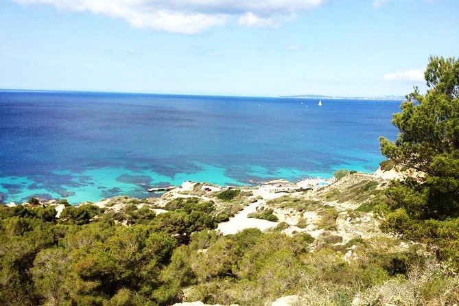 Mallorca: Try Scuba Diving in a Beautiful Nature Reserve - Scuba Diving Experience in Cala Delta Bay