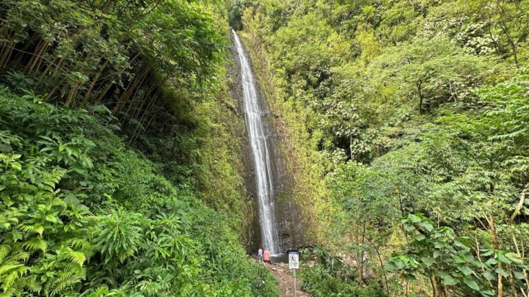 Manoa Falls Ebike To Hike Overview Of The Activity