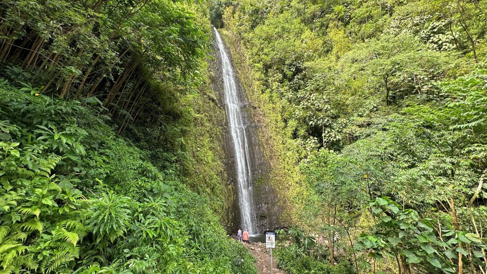 Manoa Falls Ebike To Hike